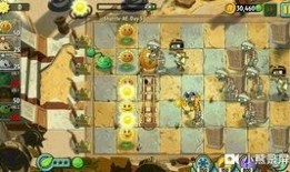 海盗港湾爆料视频,惊心动魄的海盗生活全纪录