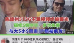 爆料陈建州完整版视频播放,揭秘背后惊人真相